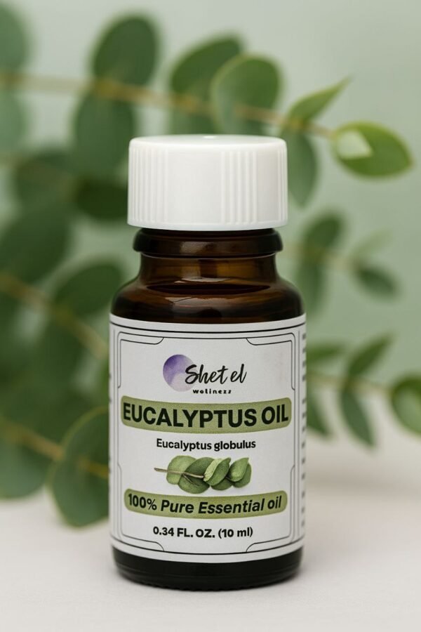 Eucalyptus Essential Oil - Image 2